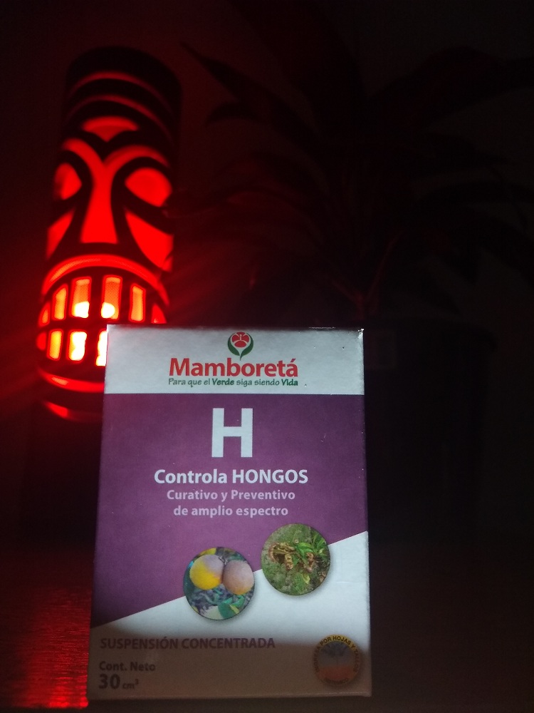 Mamboreta H 30cc 
