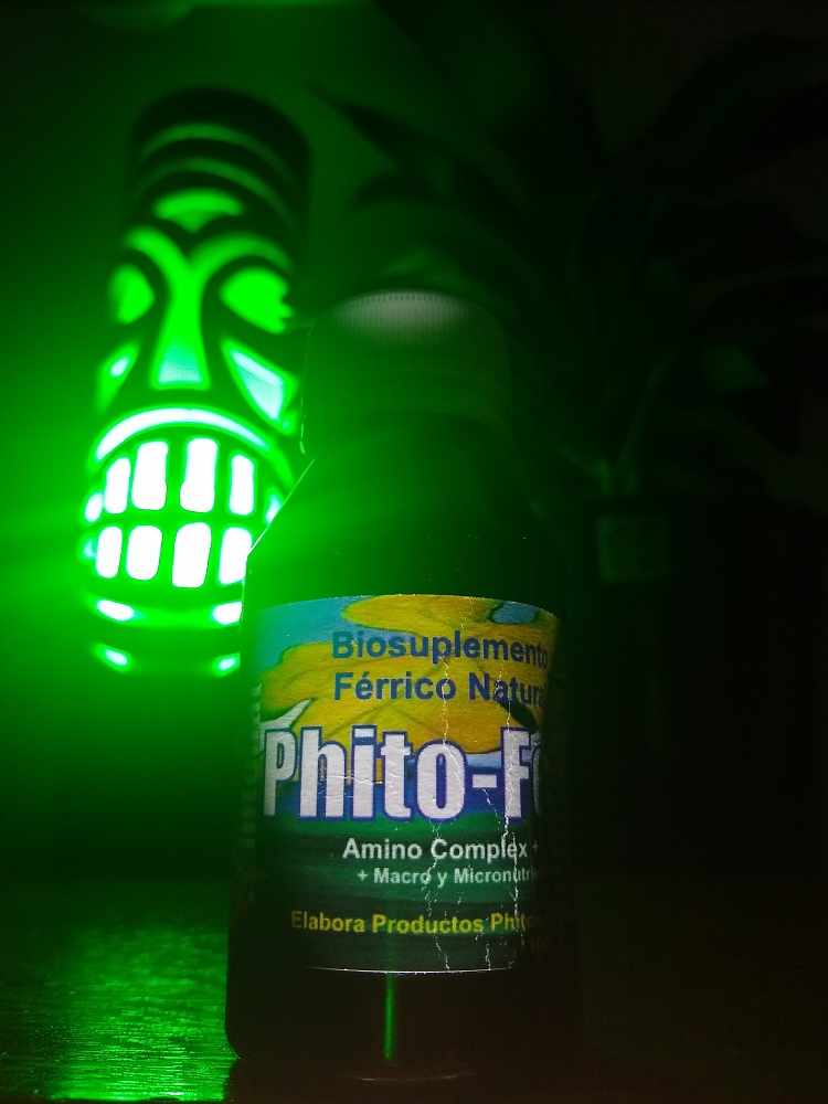 Phito Fe 100Cc 
