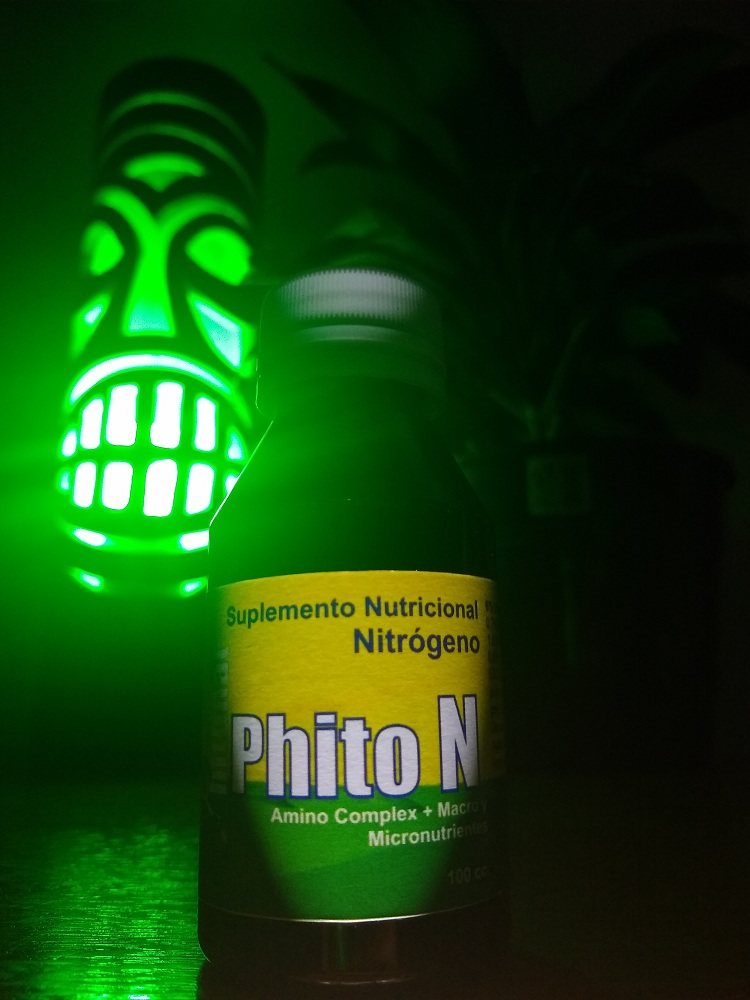 Phito N 100Cc