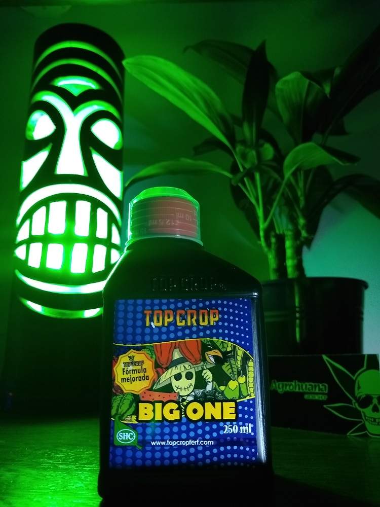 Big One 250ml Top Crop